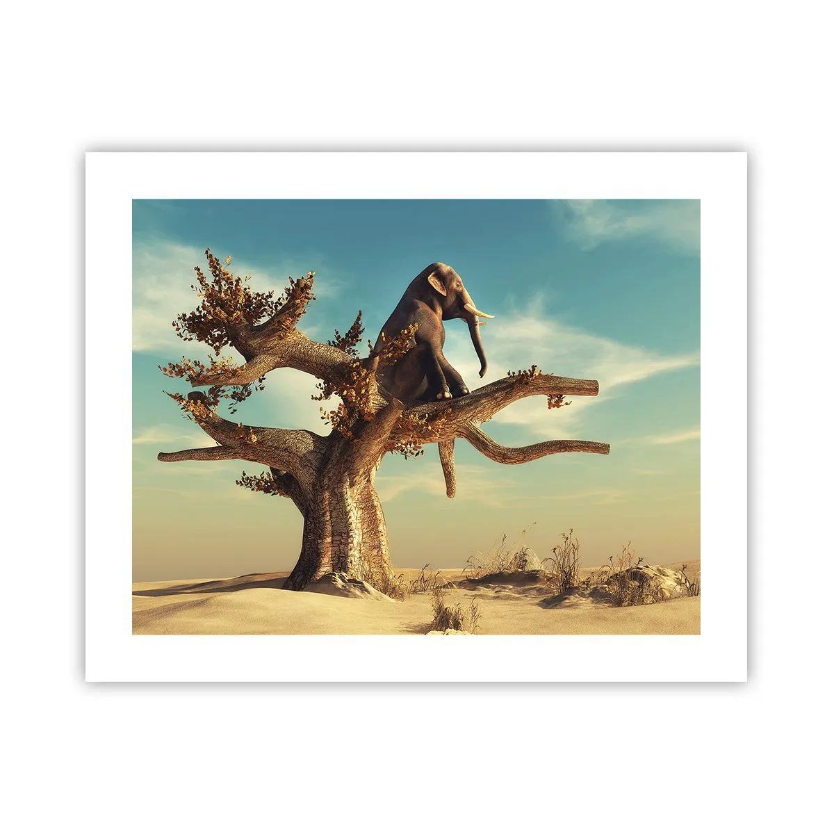 Poster - New Point of View - 50x40 cm