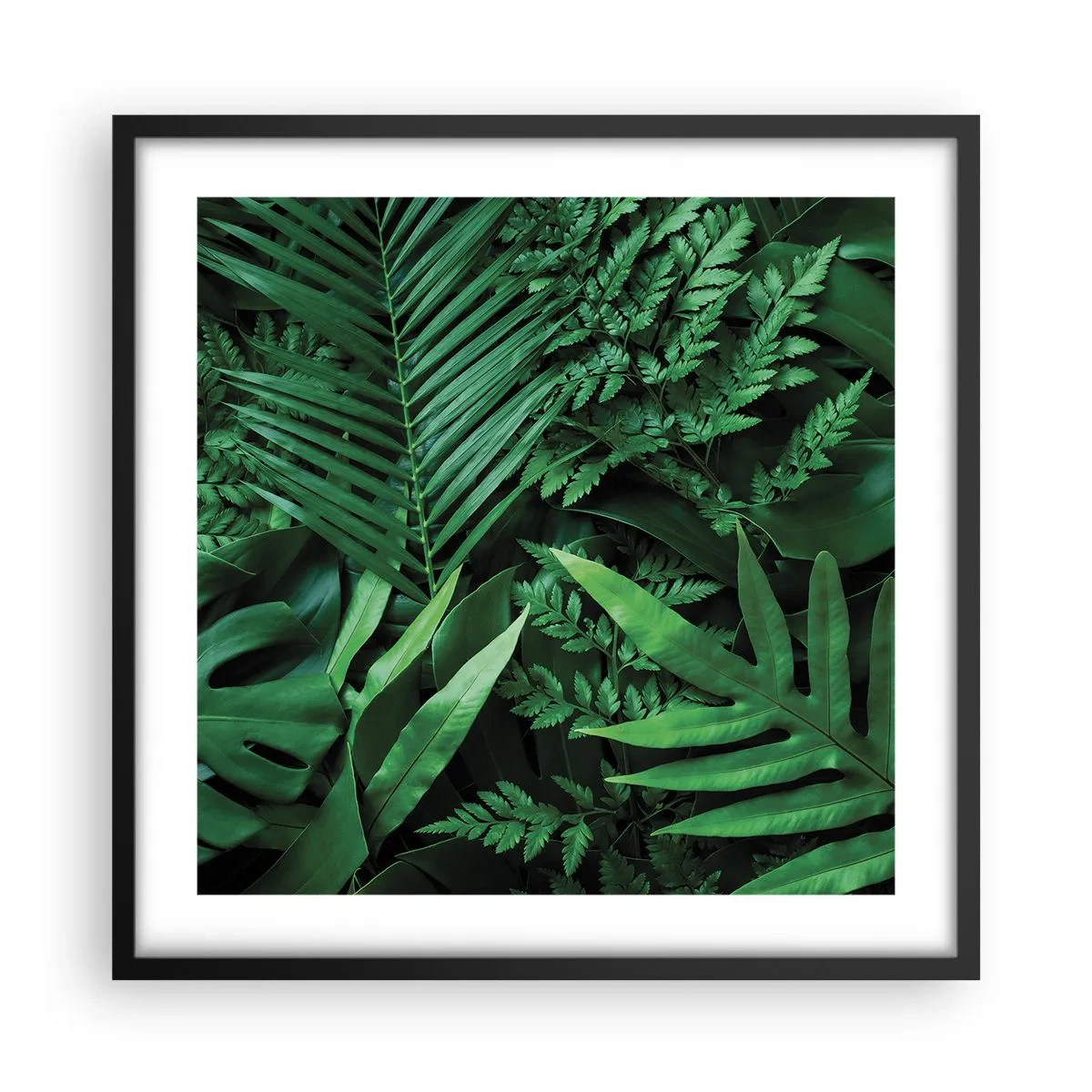 Poster in black frame - In a Green Hug - 50x50 cm