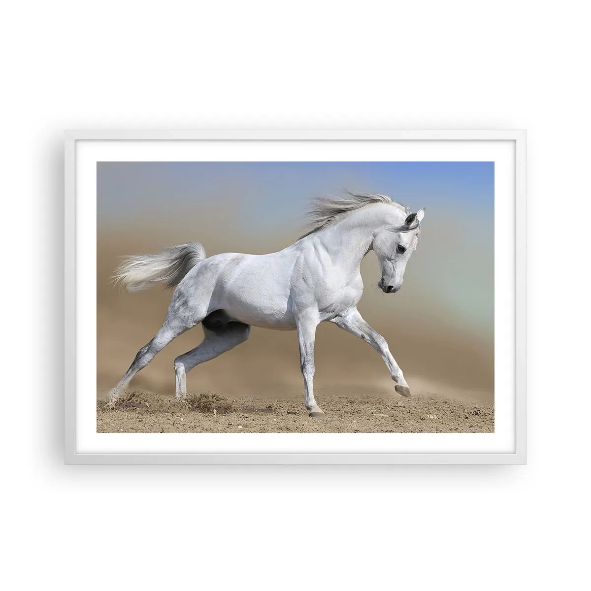 Poster in white frmae - The Most Beautiful Arabic Tale - 70x50 cm