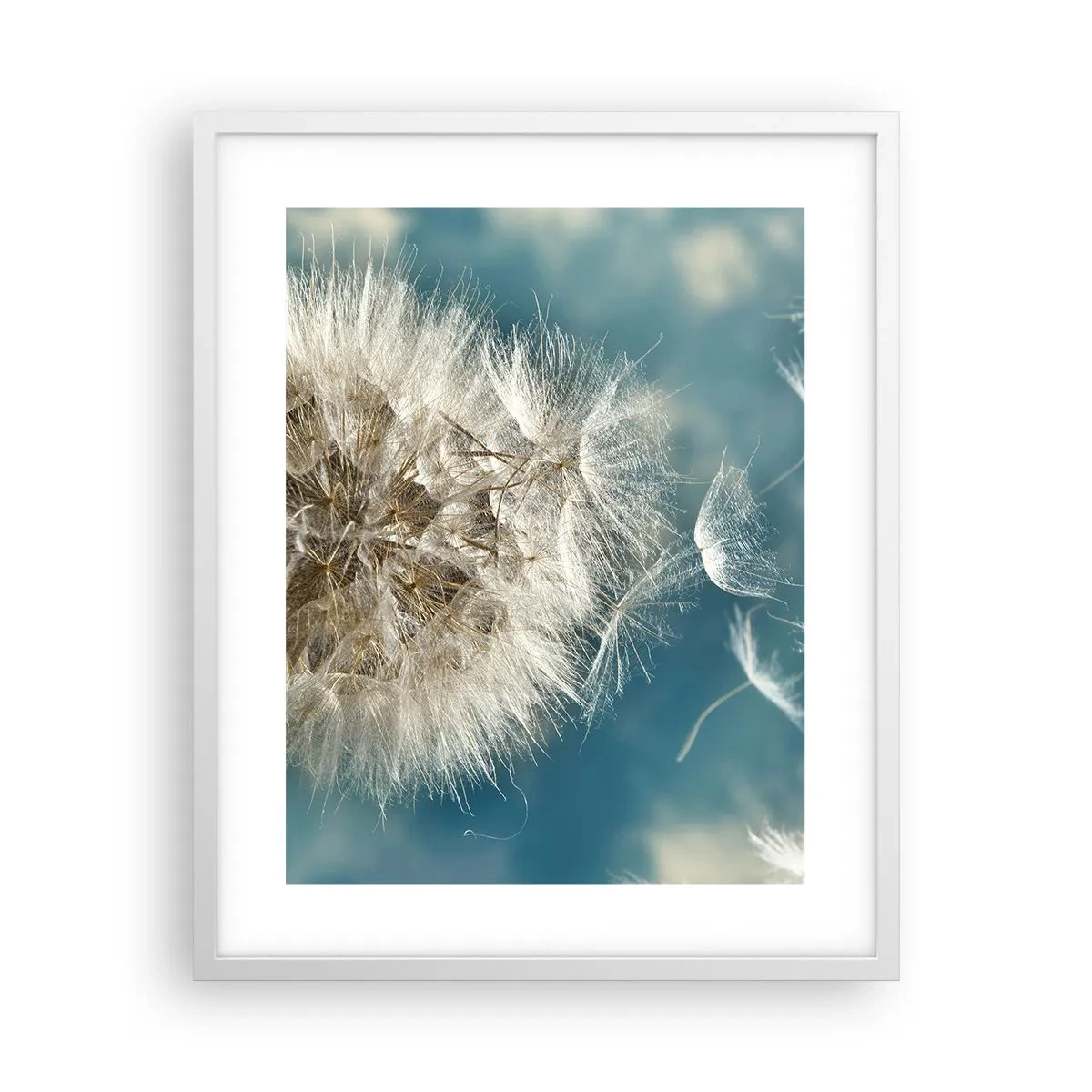 Poster in white frmae - Breath of an Angel - 40x50 cm