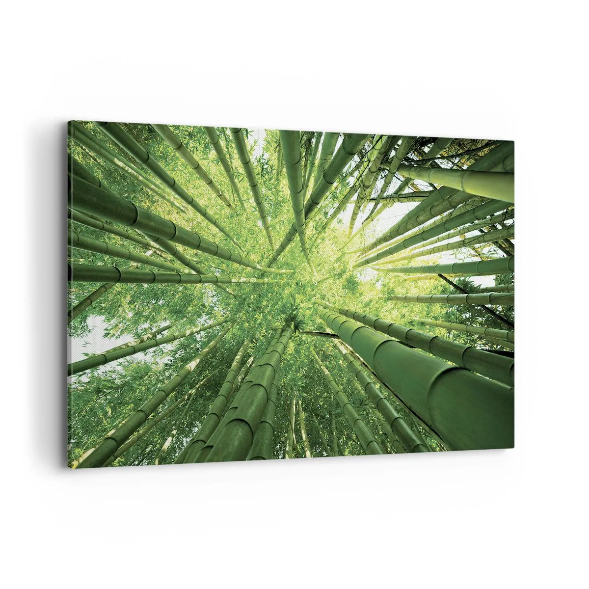 Canvas picture - In a Bamboo Forest - 120x80 cm