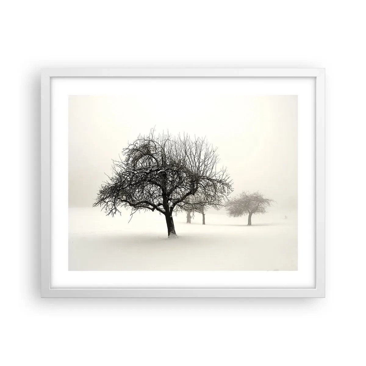 Poster in white frmae - Winter Dream - 50x40 cm