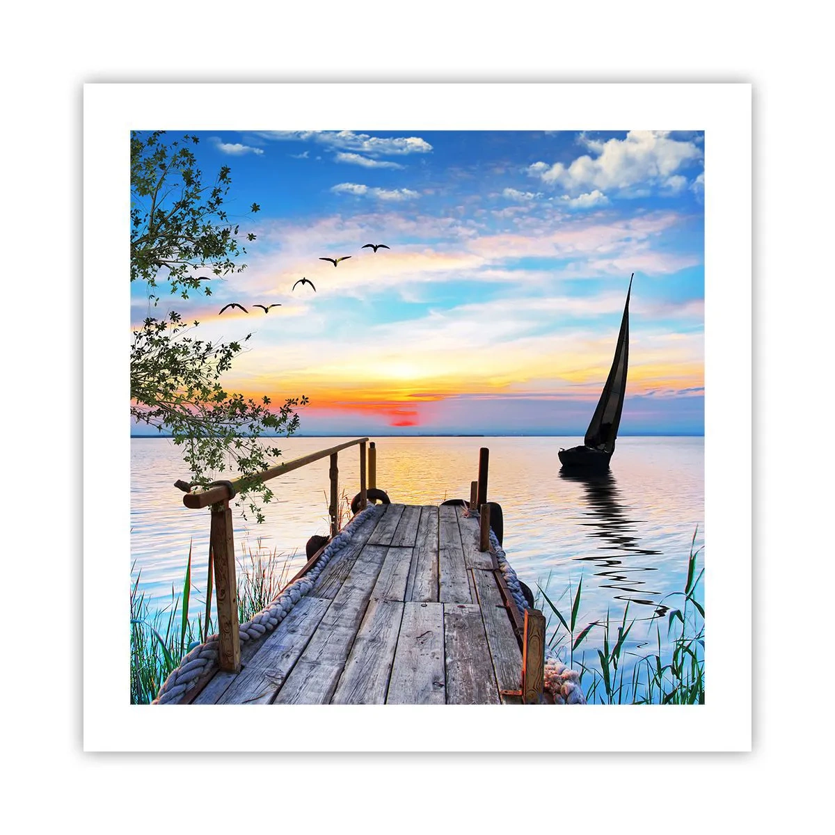 Poster - Good Evening - 50x50 cm