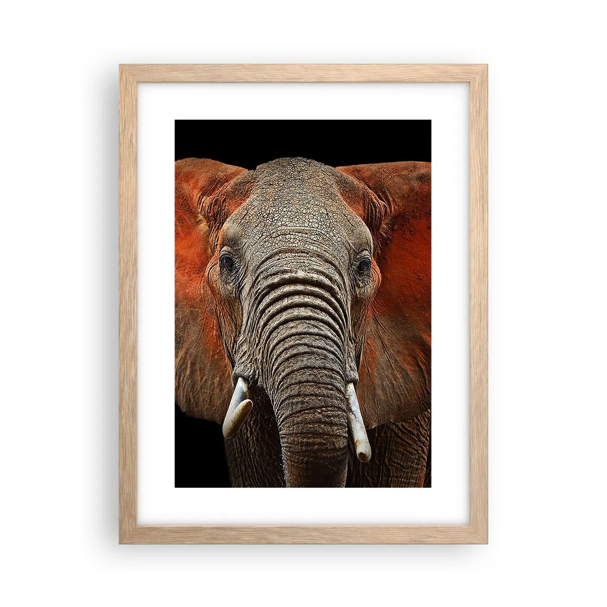 Poster in light oak frame - I am Wild, and You? - 30x40 cm