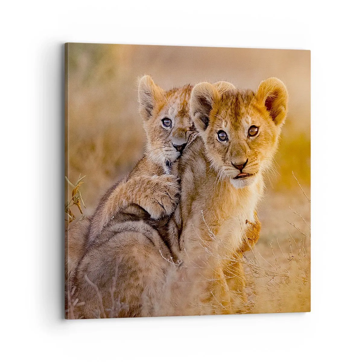 Canvas picture - Do Not Disturb! We Are Playing - 70x70 cm