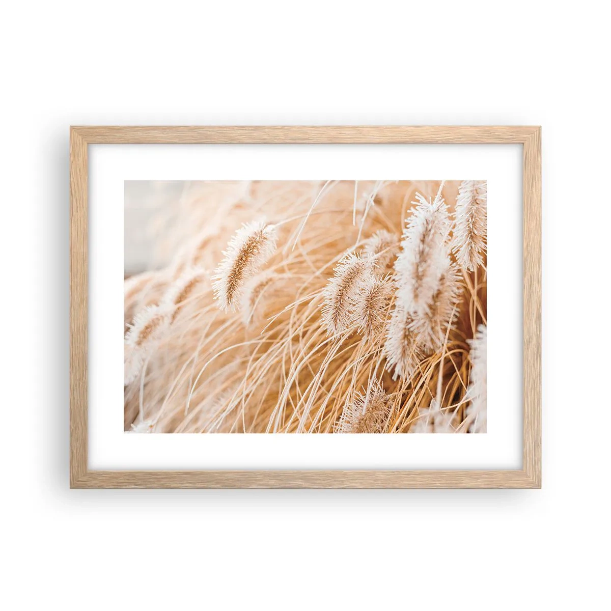 Poster in light oak frame - Golden Rustling of Grass - 40x30 cm