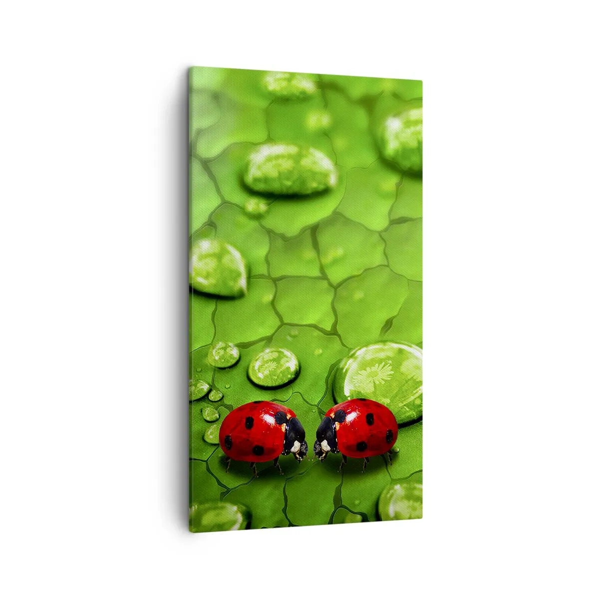 Canvas picture - Encounter in Green - 45x80 cm