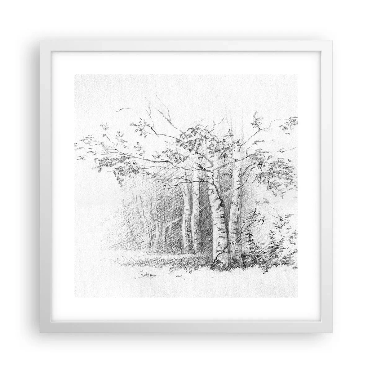 Poster in white frmae - Holiday of Birch Forest - 40x40 cm
