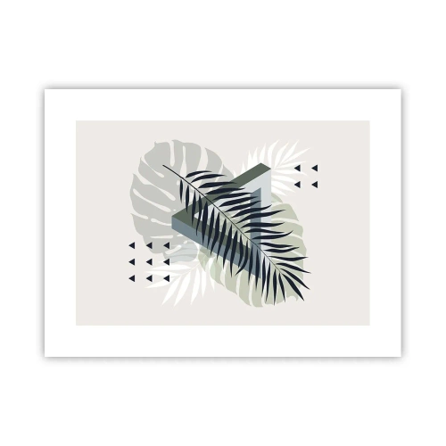 Poster - Nature and Geometry - Two Orders? - 40x30 cm