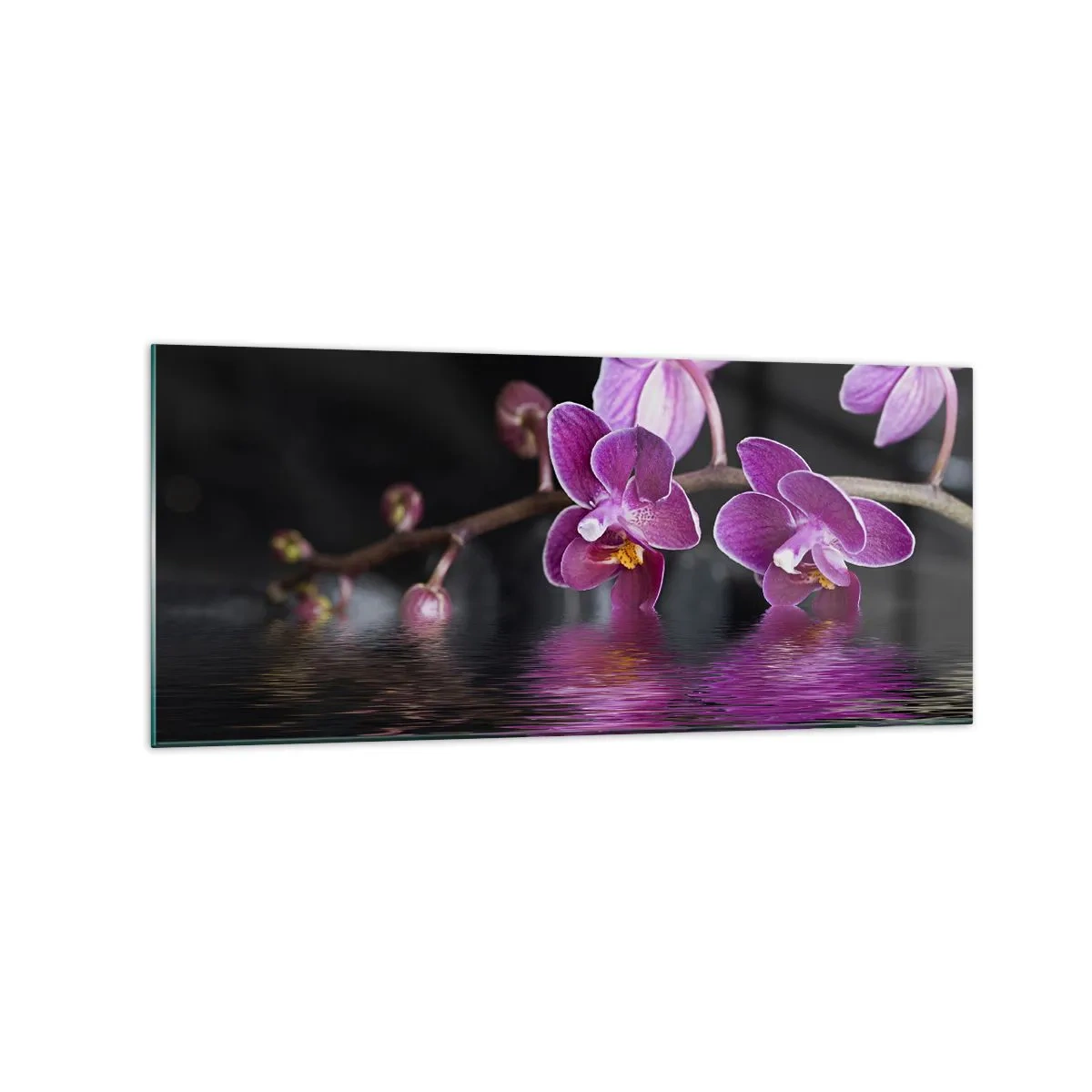 Glass picture - Lilac Reflection of Beauty - 120x50 cm