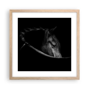 Poster in light oak frame - Black Prince - 40x40 cm