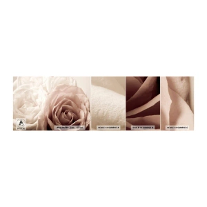 Photo Wallpaper Sample Self-Adhesive Deluxe Sticker - In the Heart of a Rose - Roses, Flowers, Romantic - 100x30 cm