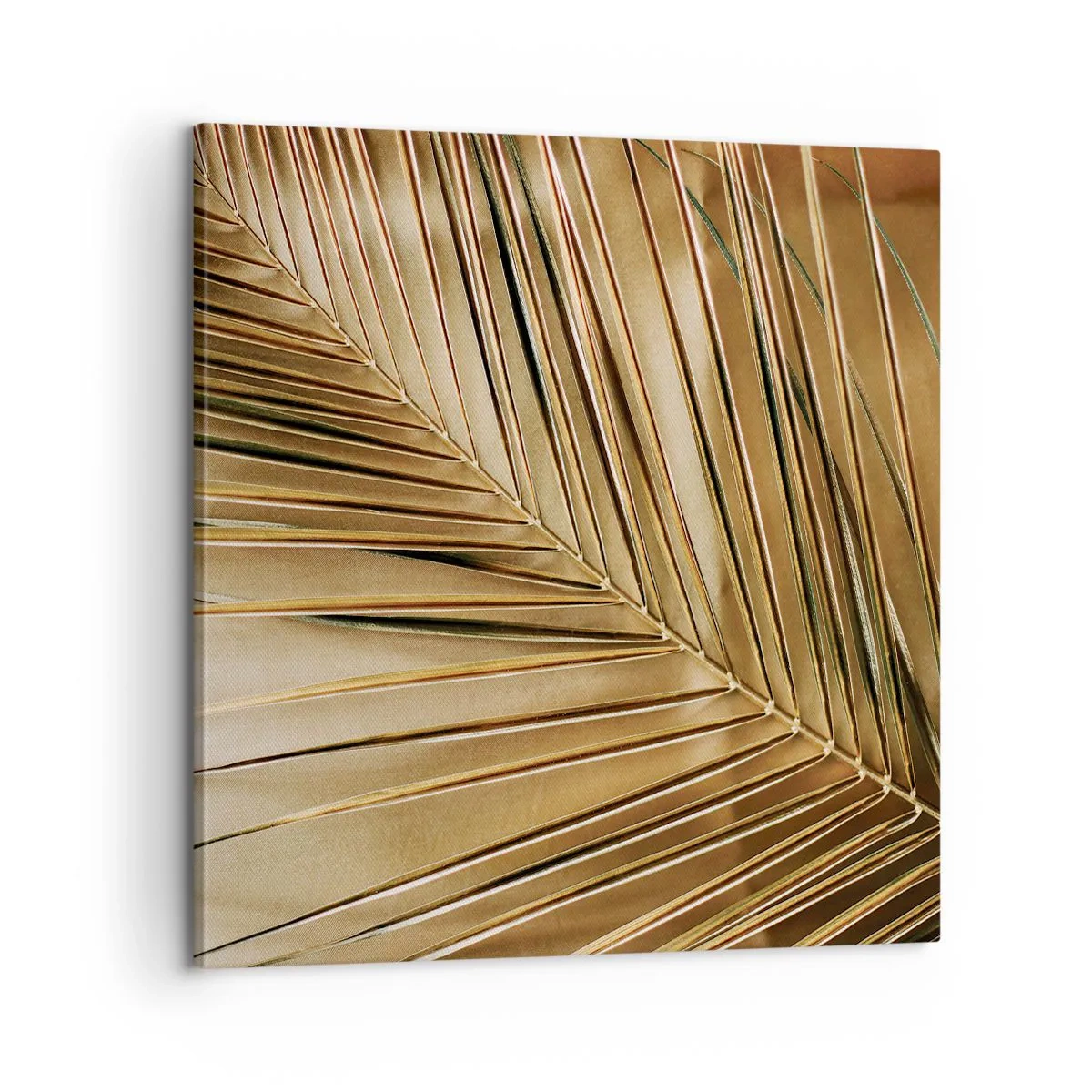 Canvas picture - Natural Colonnade - 60x60 cm
