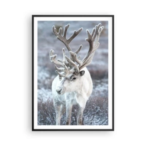 Poster in black frame - Portrait in the Sun - 70x100 cm