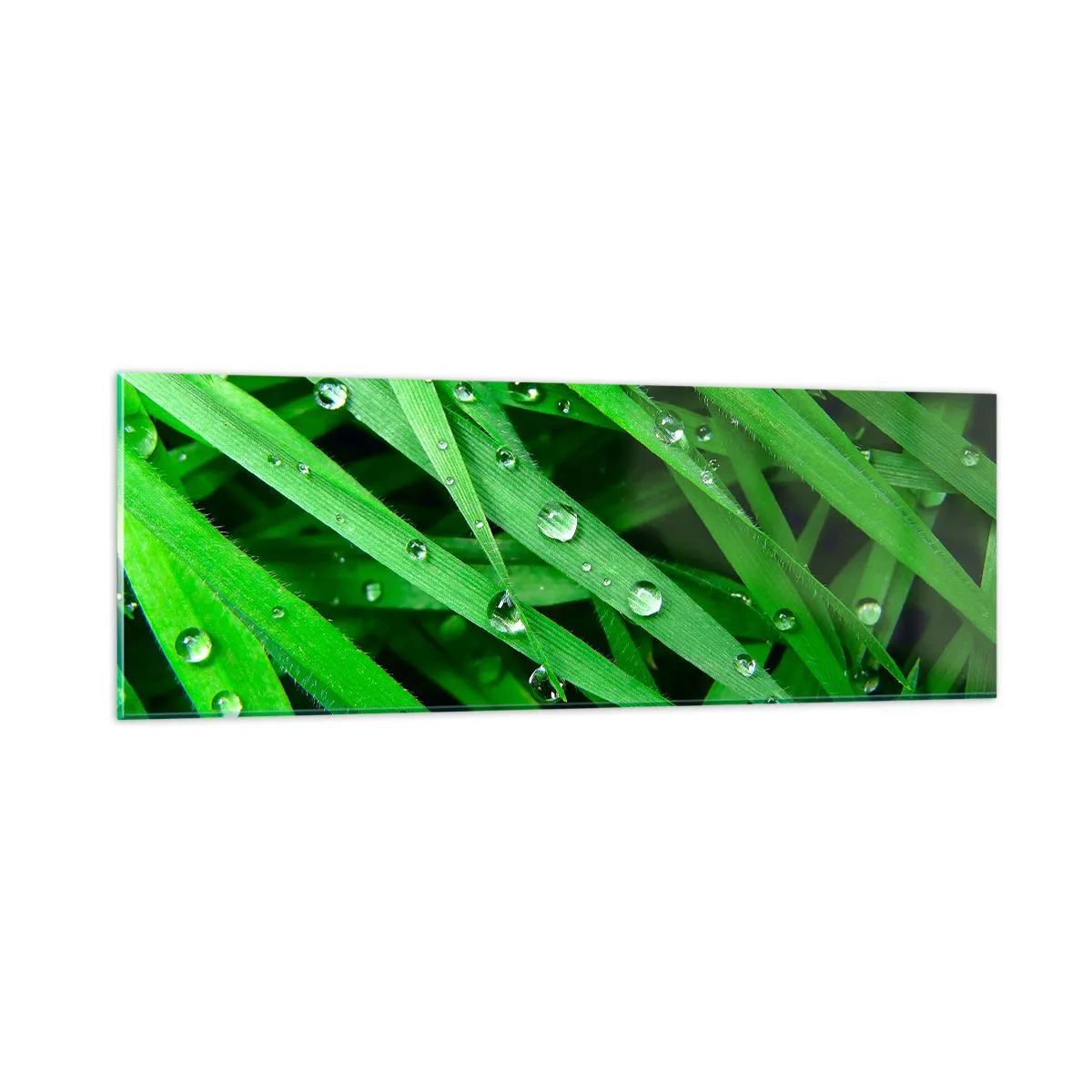 Glass picture - Go Grren - 90x30 cm