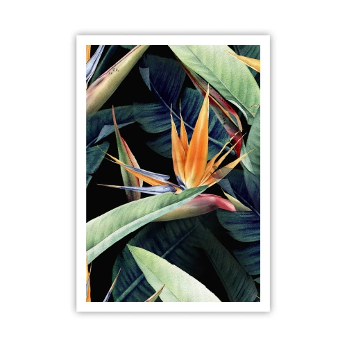 Poster - Flaming Flowers of the Tropics - 70x100 cm