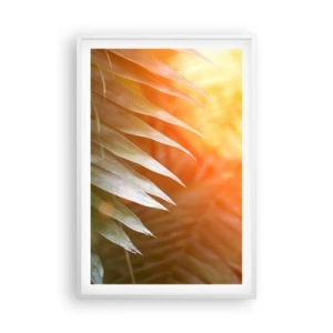 Poster in white frmae - Morning in the Jungle - 61x91 cm
