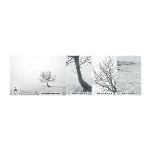 Photo Wallpaper Sample Self-Adhesive Deluxe Sticker - Against Nothingness - Landscape, Tree, Nature - 100x30 cm
