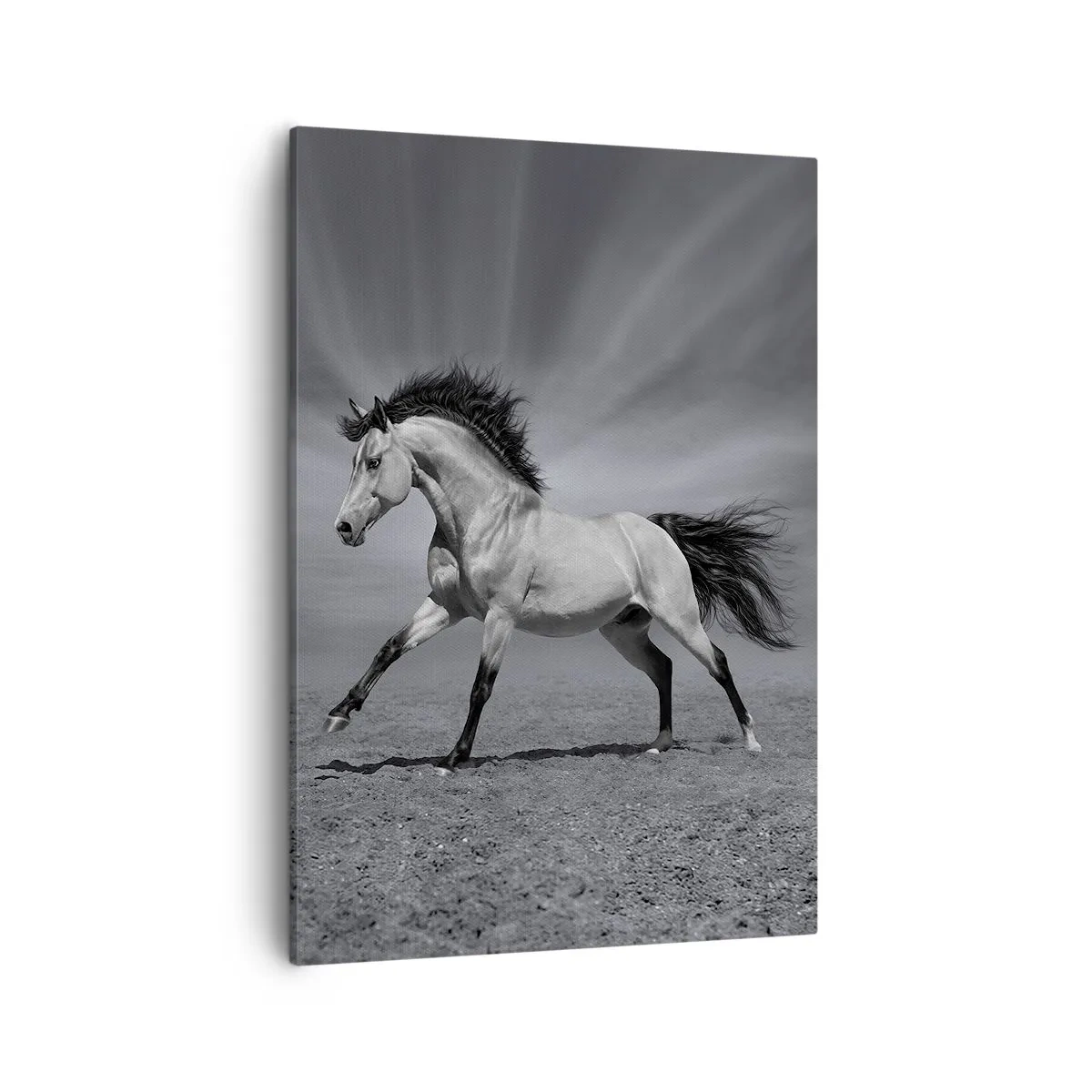Canvas picture - Born to Amaze - 50x70 cm