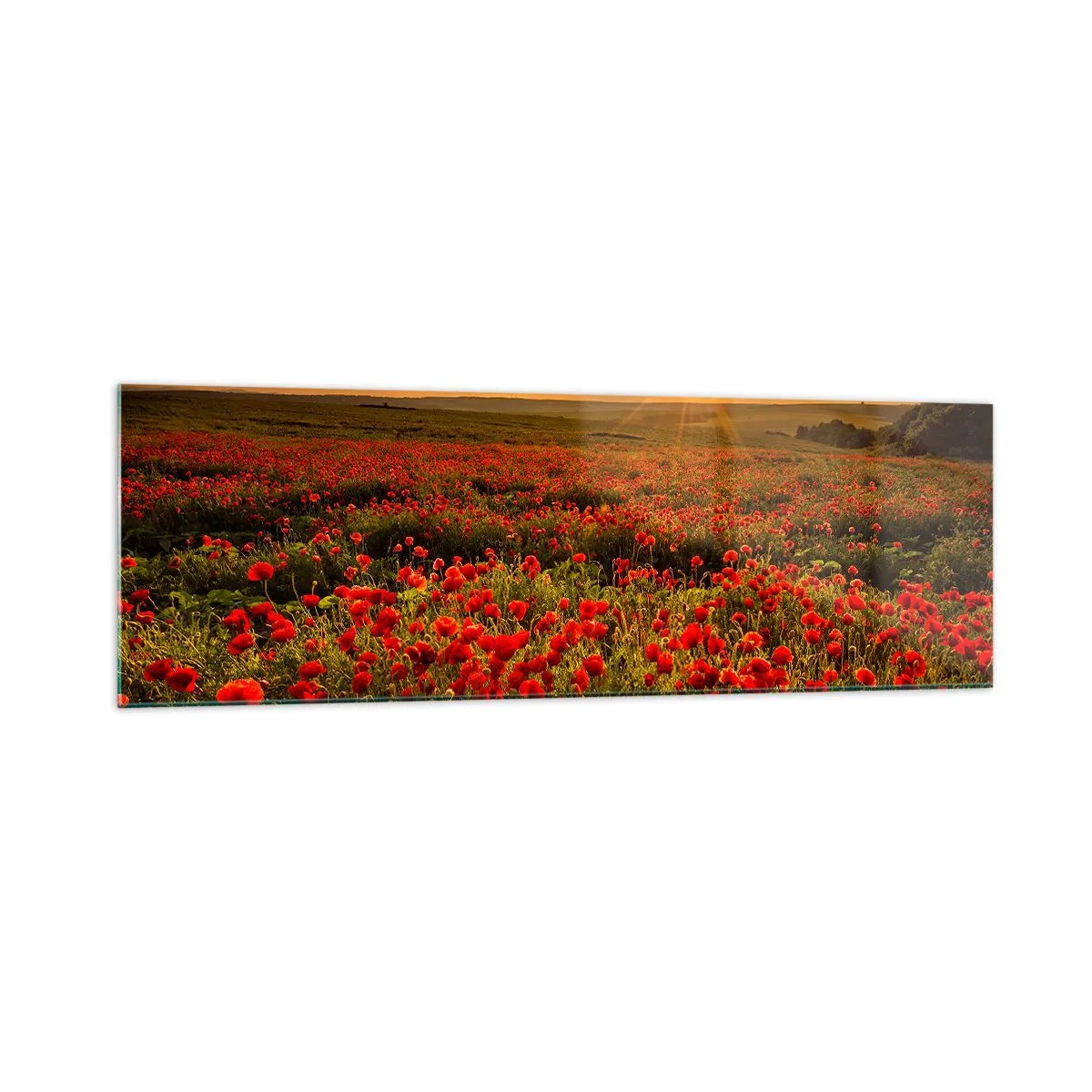Glass picture - In the Meadow, among Flood of Flowers - 160x50 cm