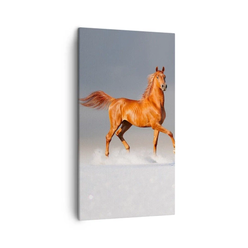 Canvas picture - Dancing Grace - 45x80 cm