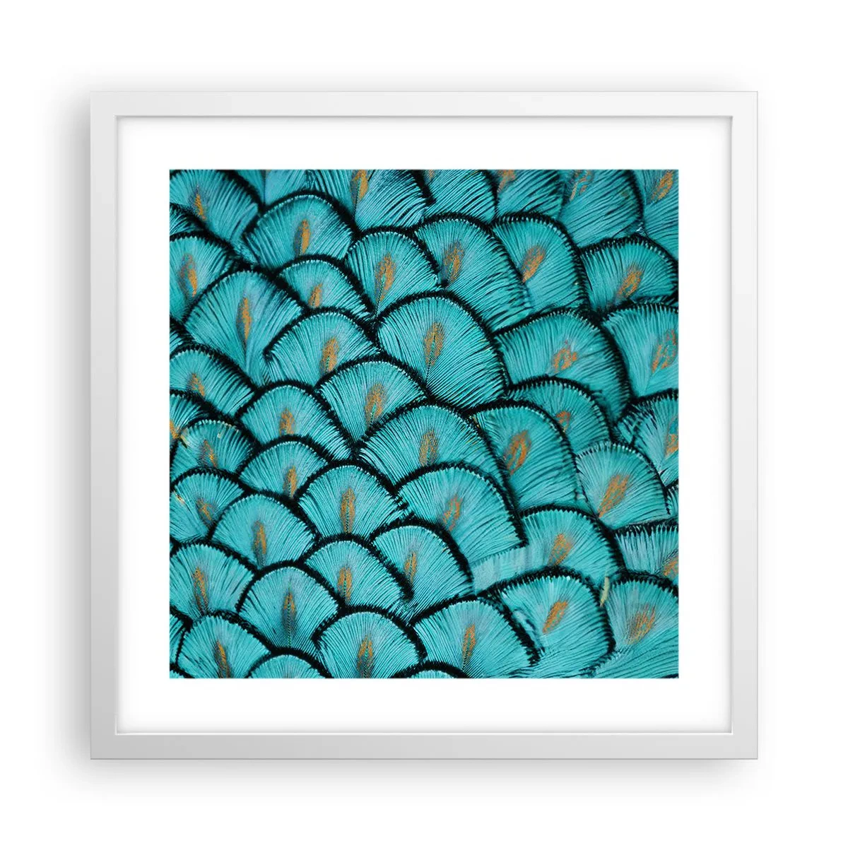 Poster in white frmae - Great Feather Gala - 40x40 cm