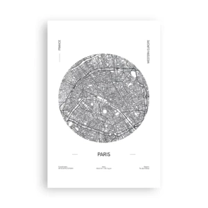 Poster - Anatomy of Paris - 61x91 cm