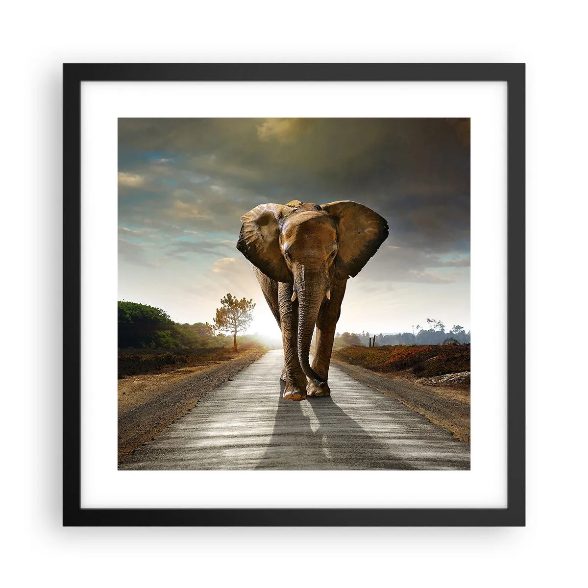 Poster in black frame - Not in a China Shop - 40x40 cm