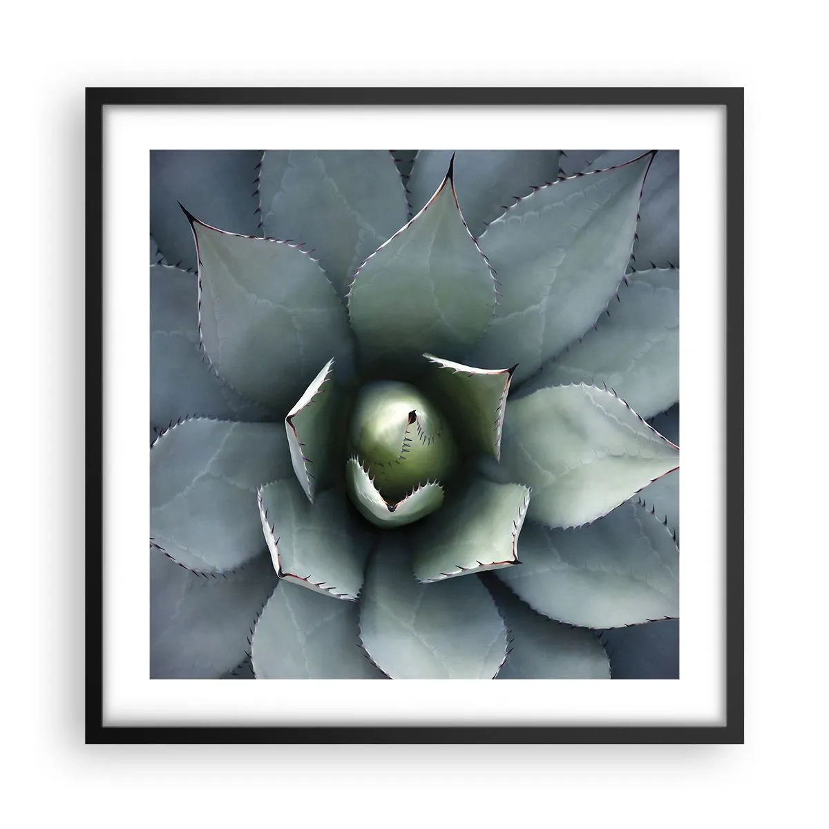 Poster in black frame - Attracts and Warns - 50x50 cm