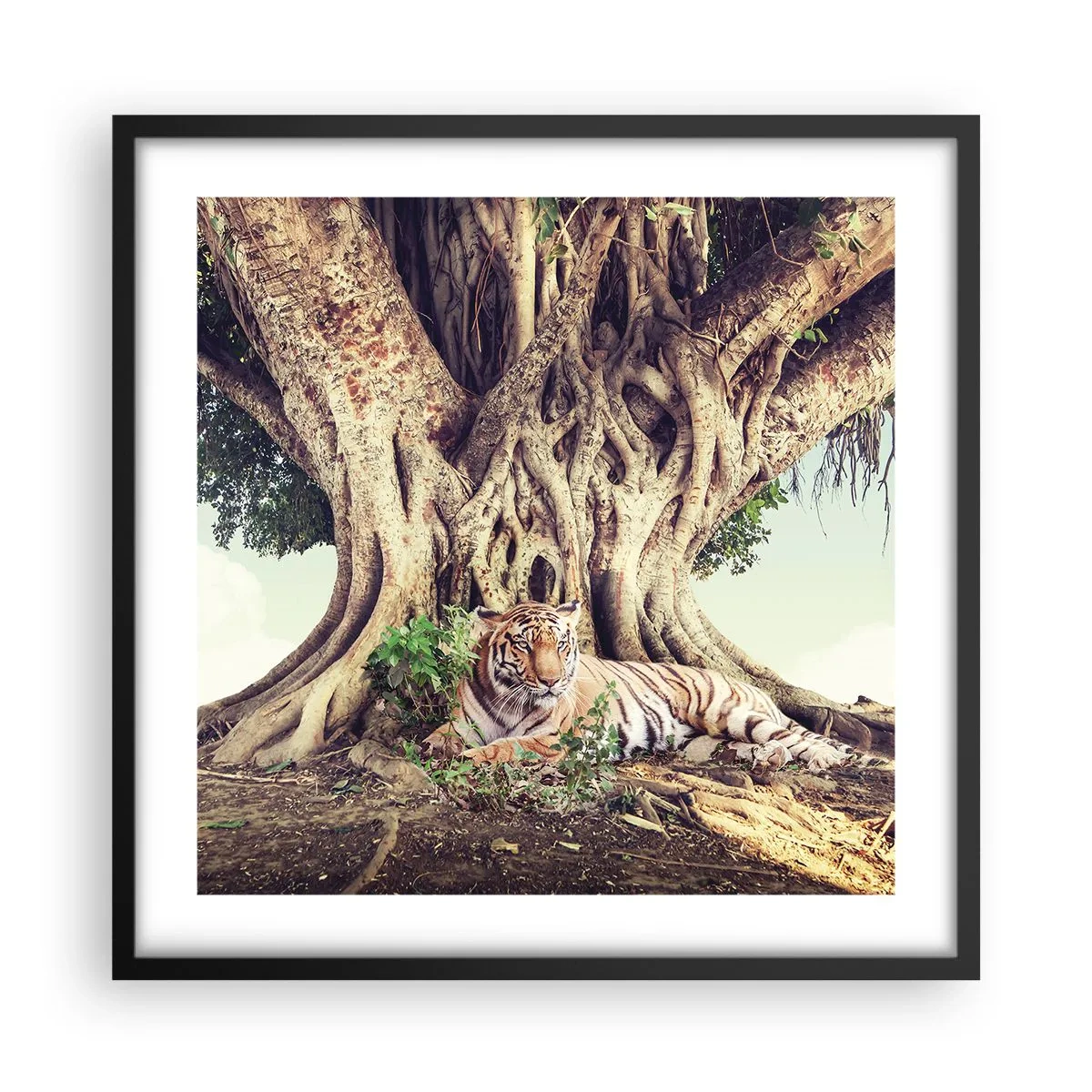 Poster in black frame - View from the Genesis - 50x50 cm