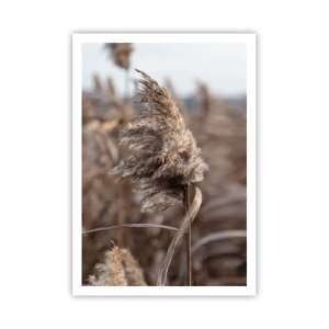 Poster - Time to Fly with the Wind - 70x100 cm