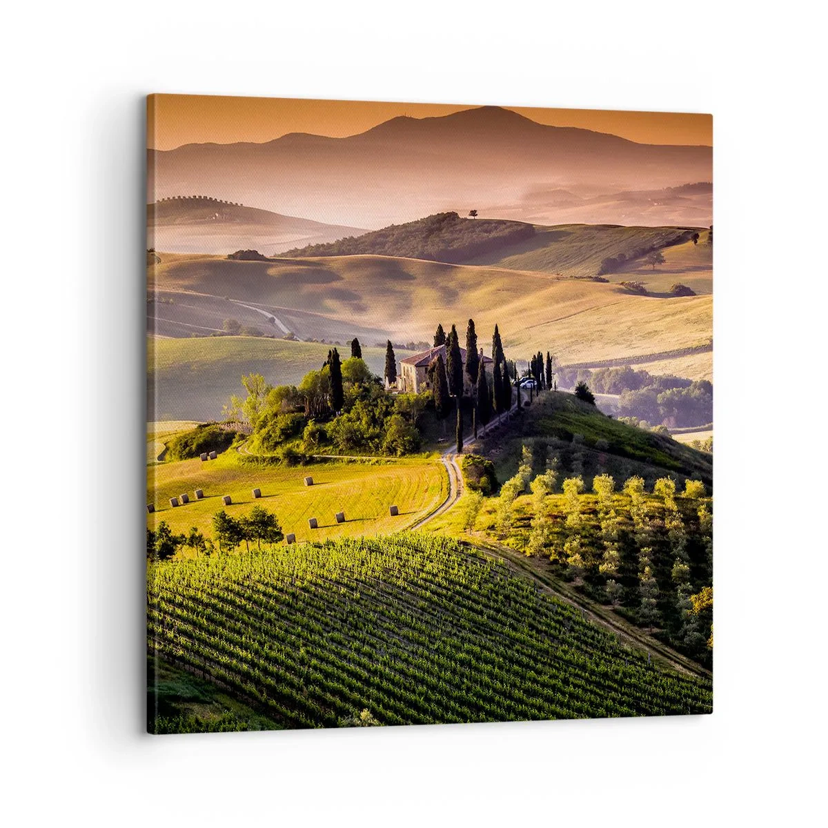 Canvas picture - Arcadia - Tuscan Landscape - 60x60 cm