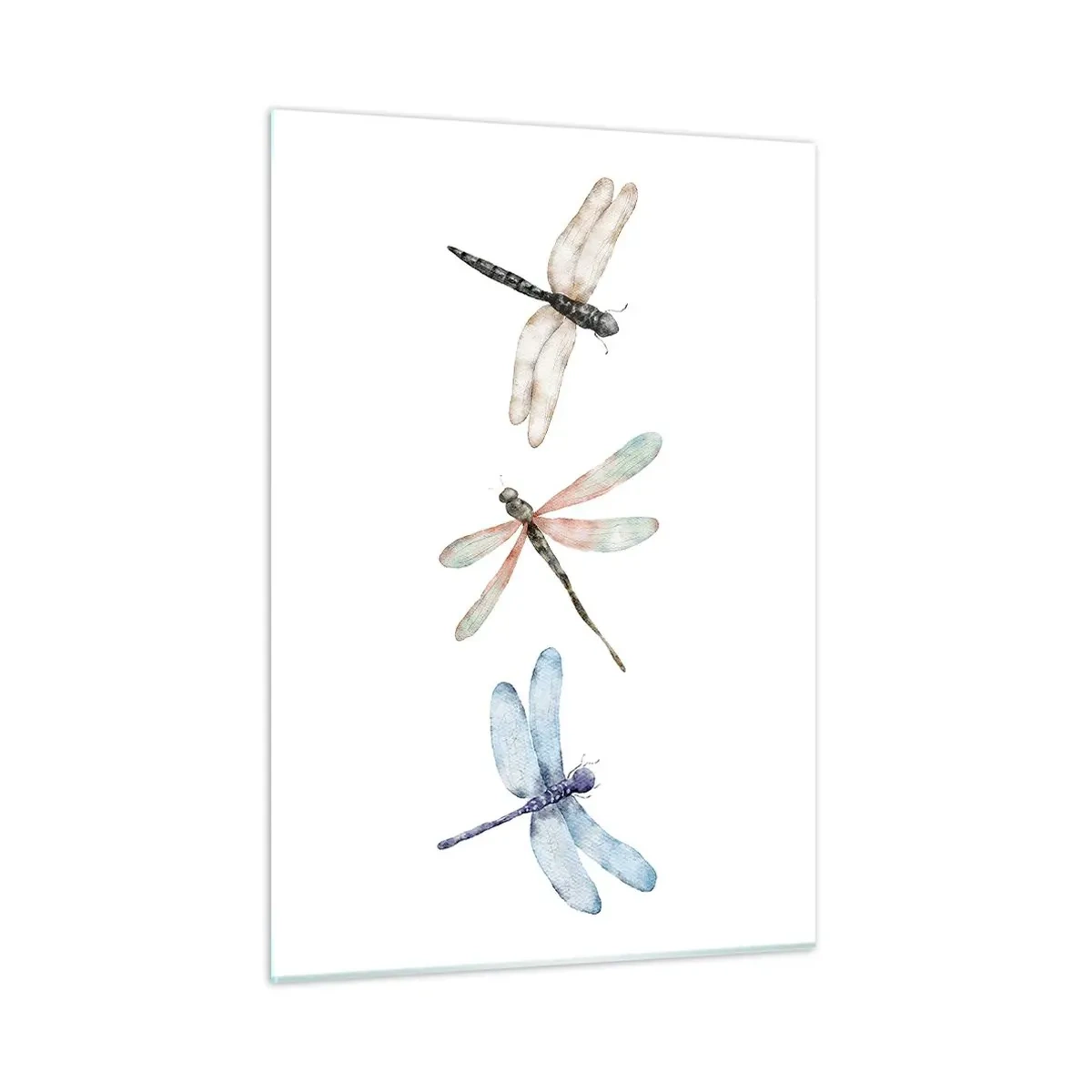 Glass picture - Lightness of Dragonflies  - 50x70 cm