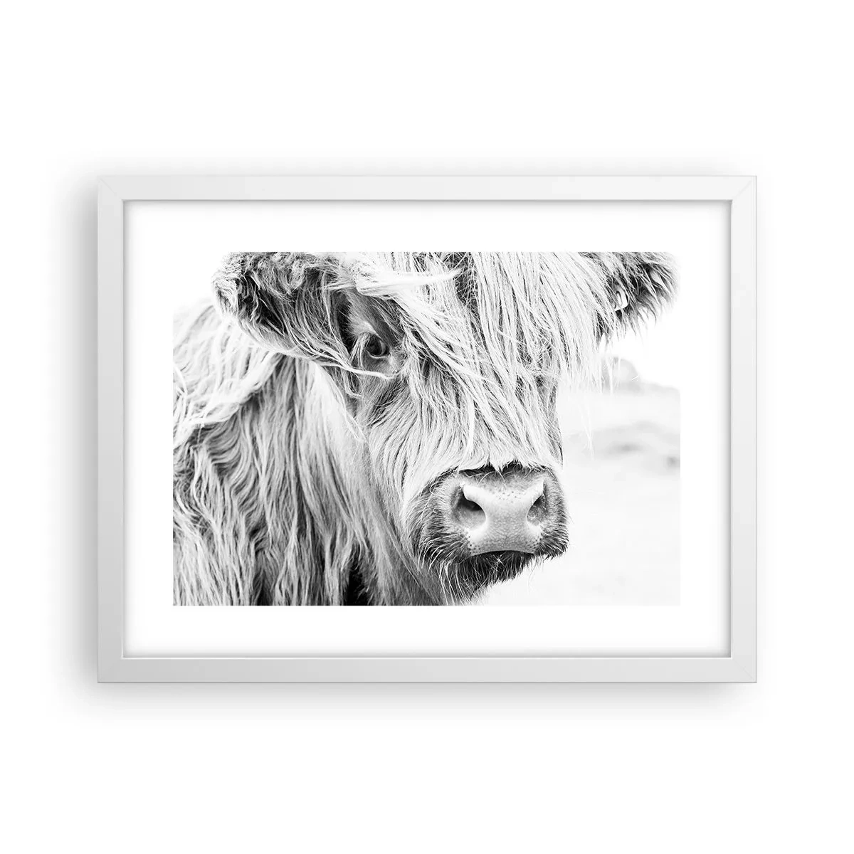 Poster in white frmae - Scottish Wilderness - 40x30 cm