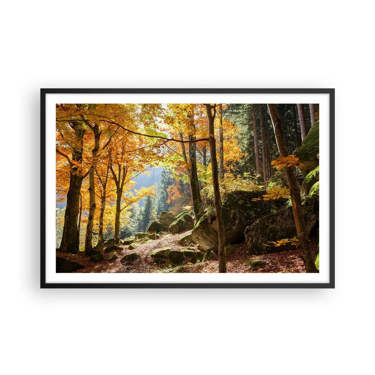 Poster in black frame - Time for Rest - 91x61 cm