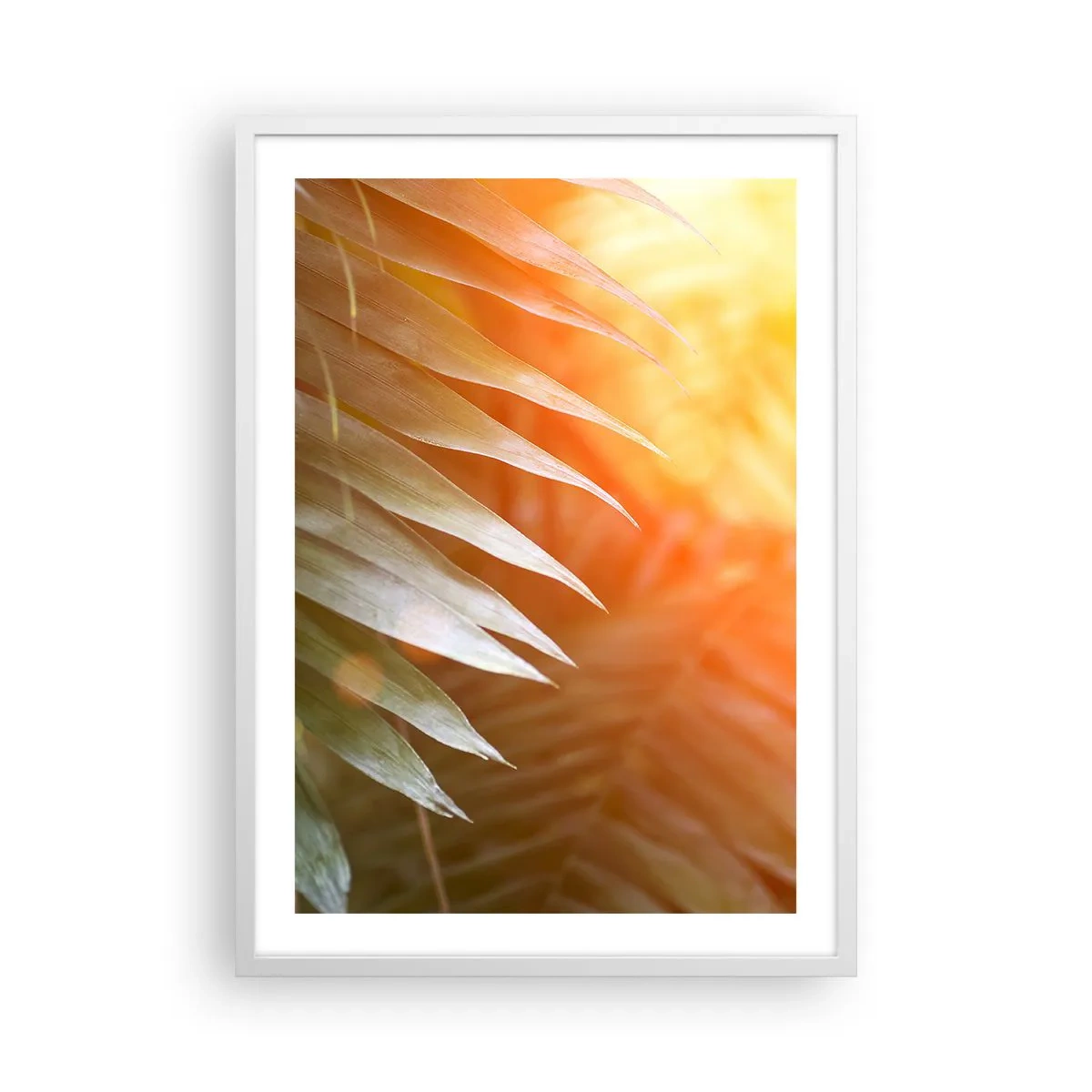 Poster in white frmae - Morning in the Jungle - 50x70 cm