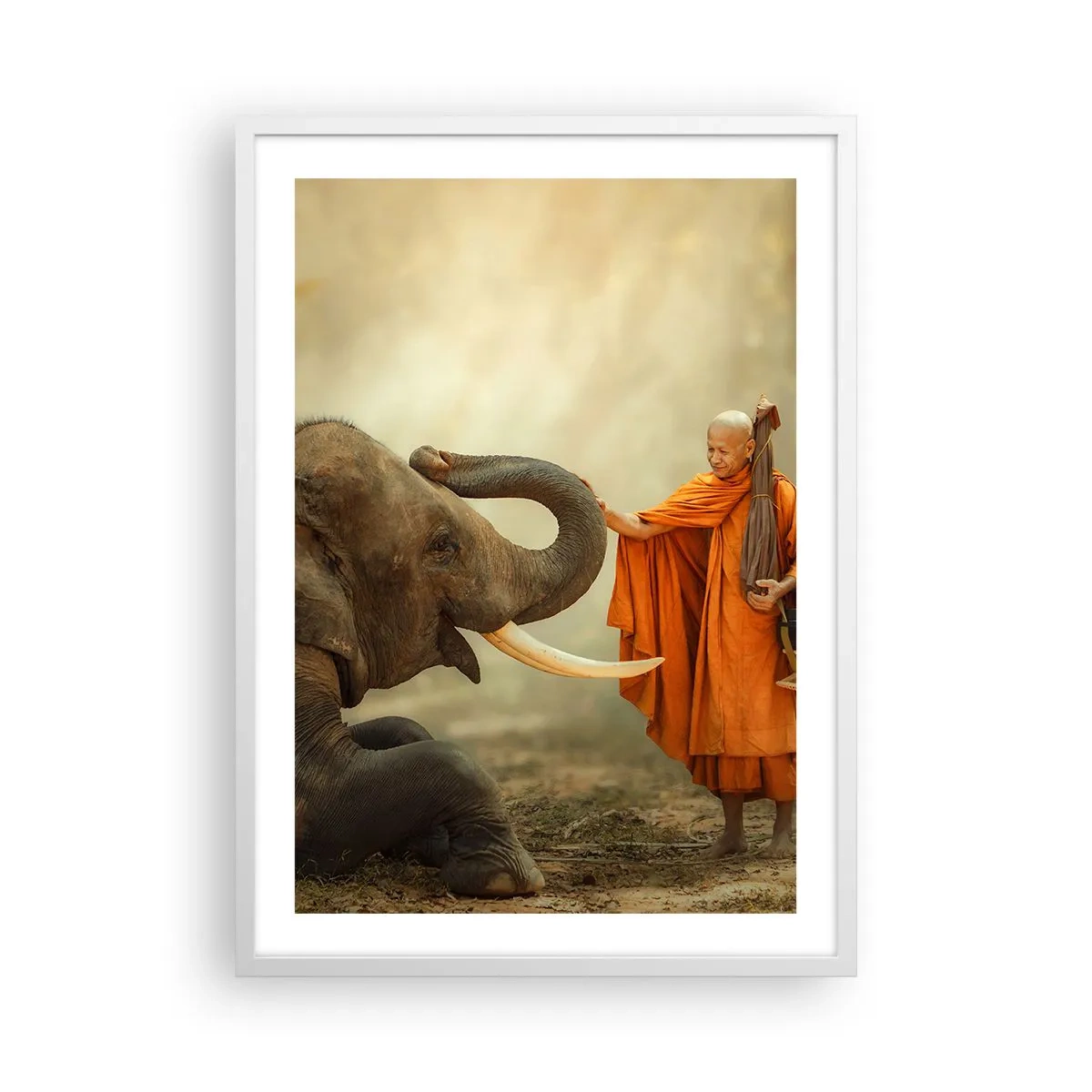 Poster in white frmae - Unexpected Meeting - 50x70 cm