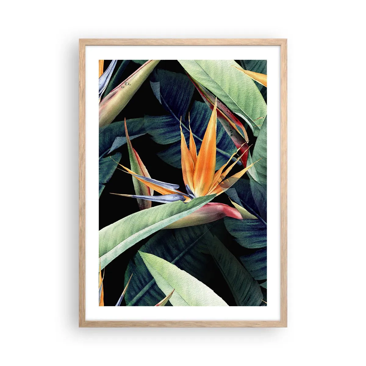 Poster in light oak frame - Flaming Flowers of the Tropics - 50x70 cm