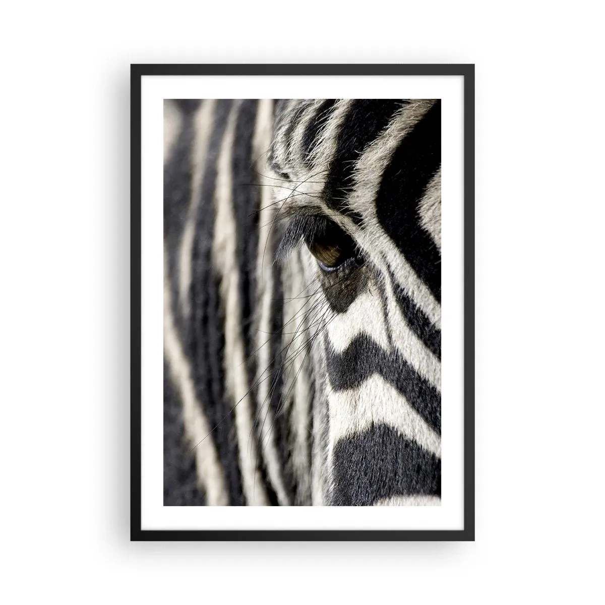 Poster in black frame - A close-up of a zebra's eye with its distinctive pattern. - 50x70cm - Striped Portrait - Modern wall decoration for the living room and bedroom ARTTOR