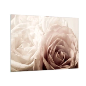 Glass picture - Delicate light roses in a romantic close-up - 70x50cm - In the Heart of a Rose - Modern wall decoration for the living room and bedroom ARTTOR