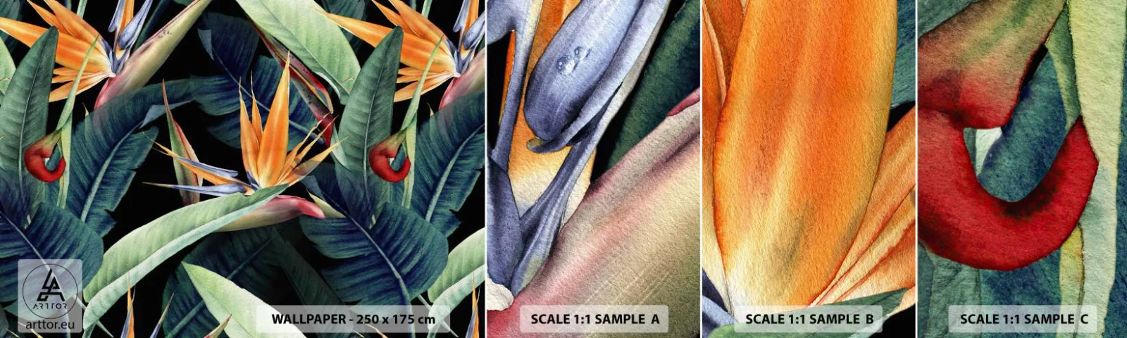 Photo Wallpaper Sample Self-Adhesive Deluxe Sticker - Flaming Flowers of the Tropics - Strelitzia Royal, Flower, Africa - 100x30 cm