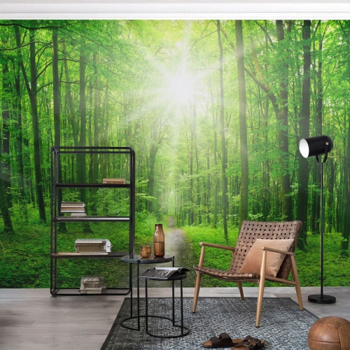 Custom Wallpaper Premium Canvas - Green Cathedral - Landscape, Forest, Rays of the sun