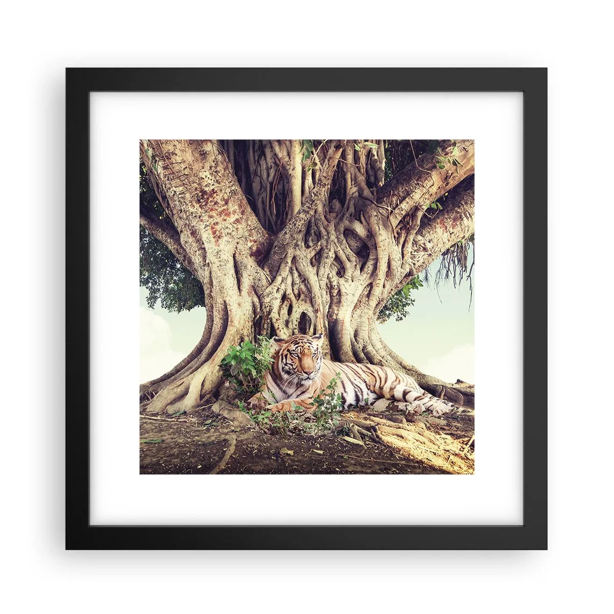 Poster in black frame - View from the Genesis - 30x30 cm