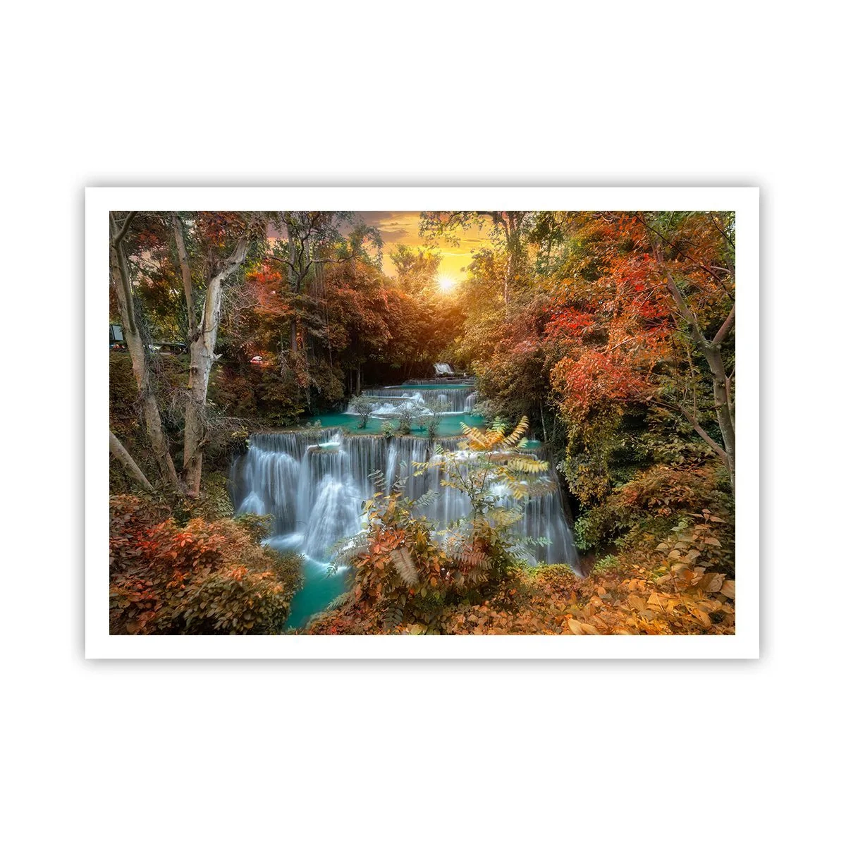 Poster - Hidden Forest Treasure - 100x70 cm