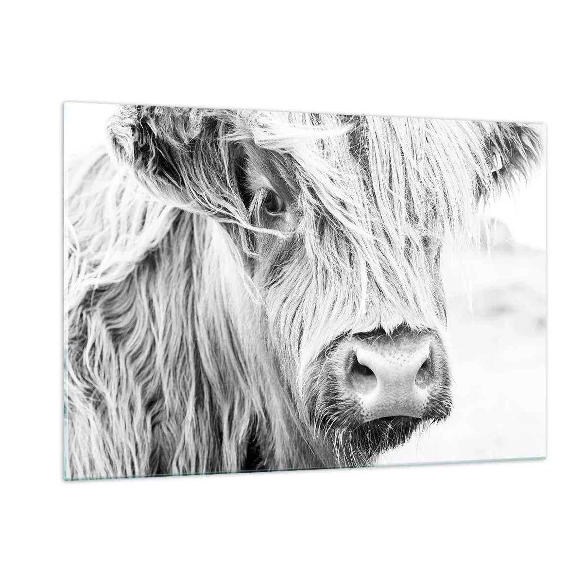Glass picture - Scottish Wilderness - 120x80 cm
