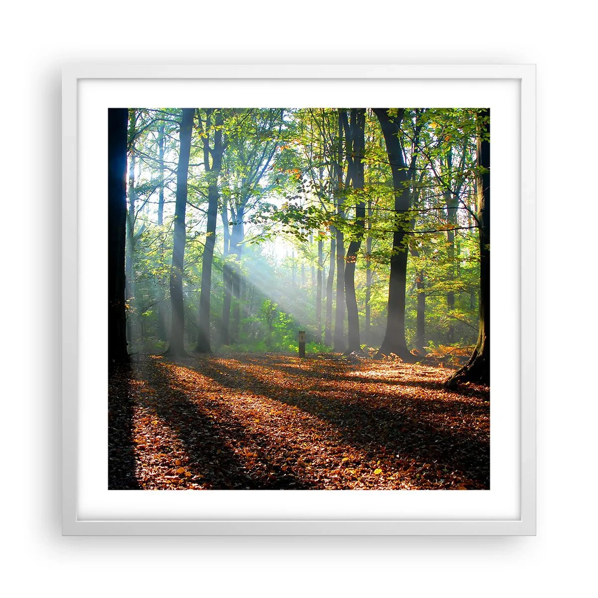 Poster in white frmae - Highs And Lows - 50x50 cm