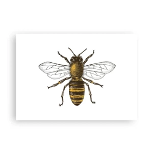 Poster - Beautiful and Good - 70x50 cm