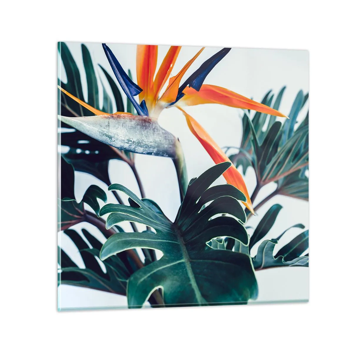 Glass picture - Birdy Bush - 30x30 cm