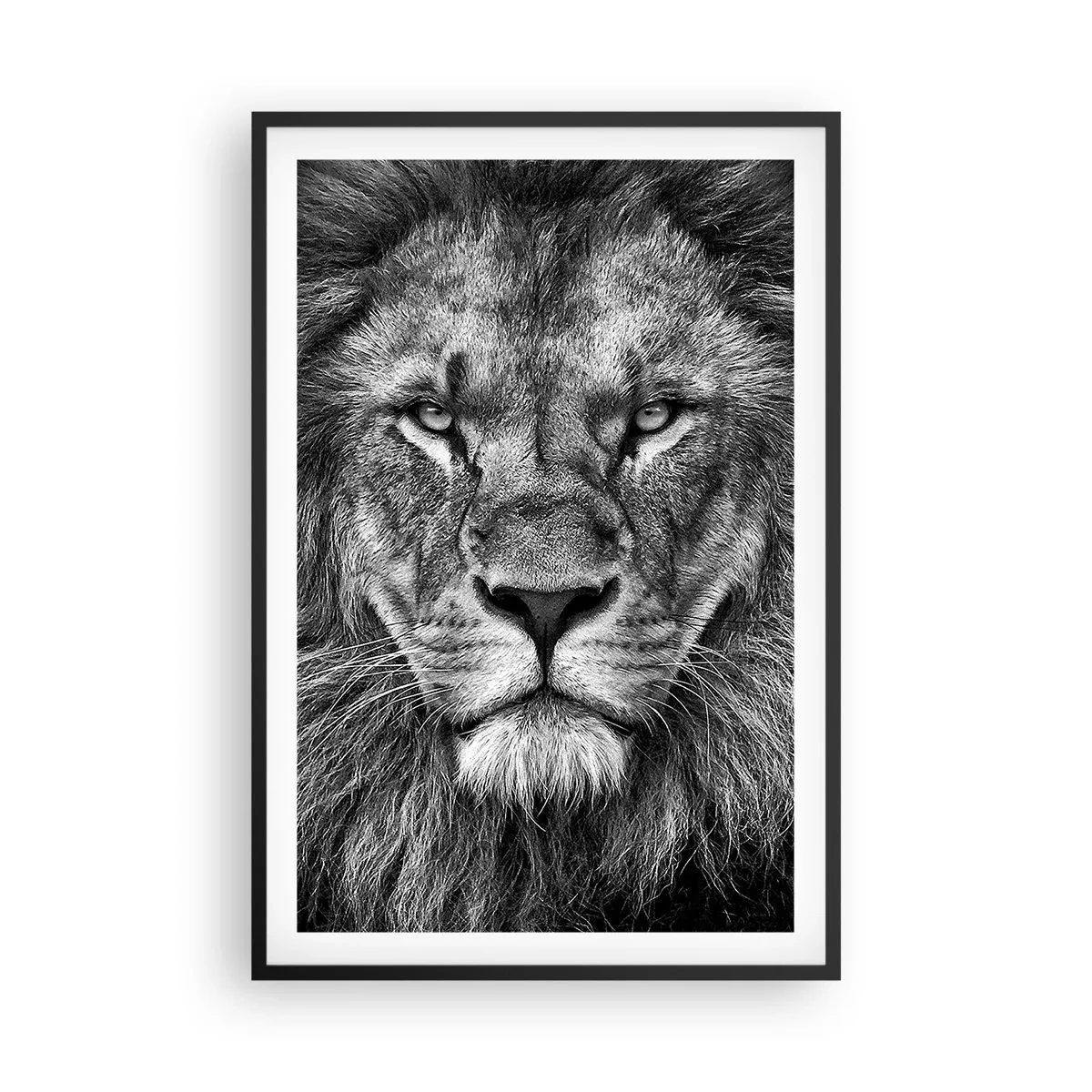 Poster in black frame - In Coronation Clothes - 61x91 cm