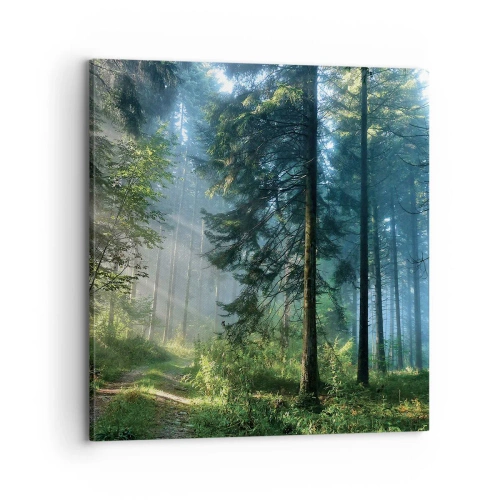 Canvas picture - Radiant at Dawn - 70x70 cm